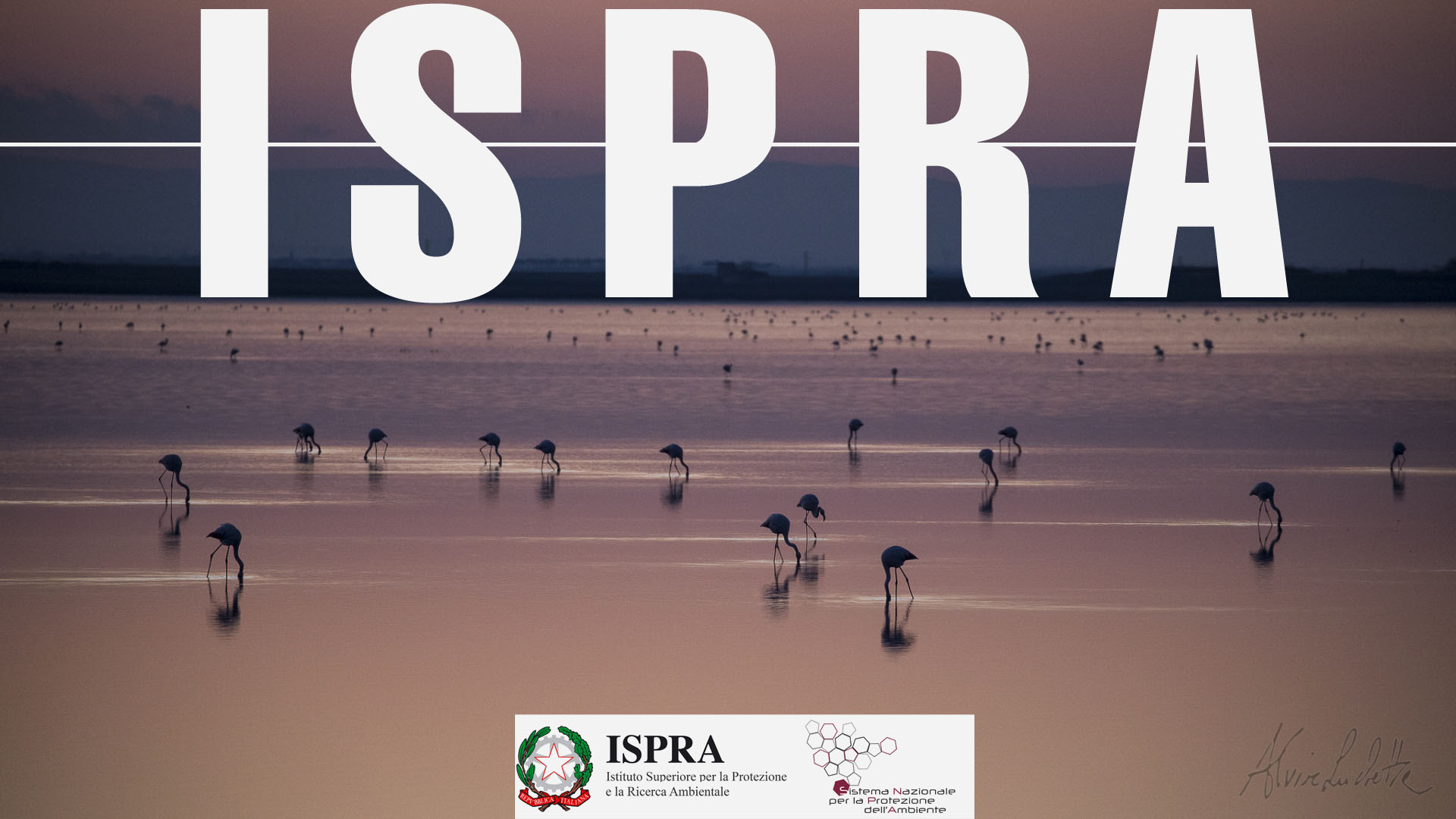 Biodiversità, Habitat ed ecosistemi - ISPRA - 